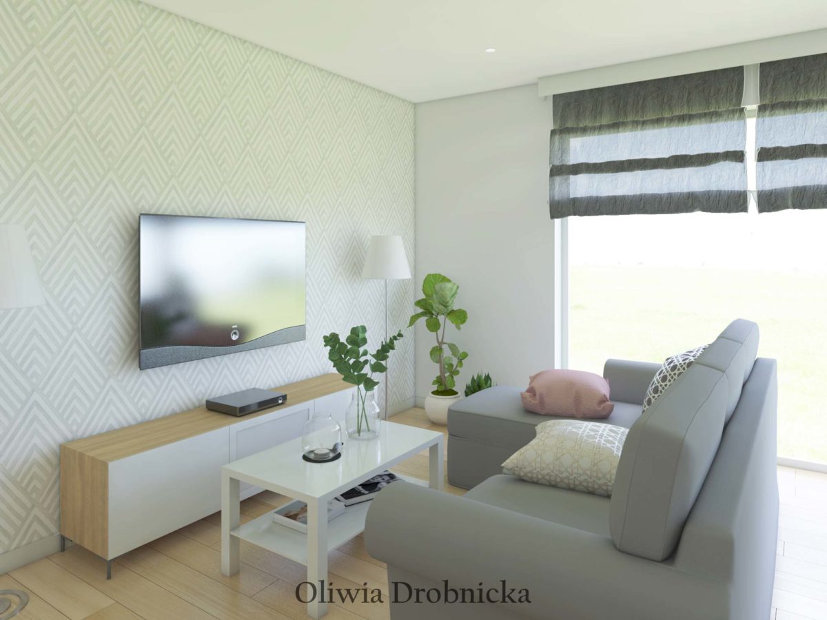 Projekt-salonu-1